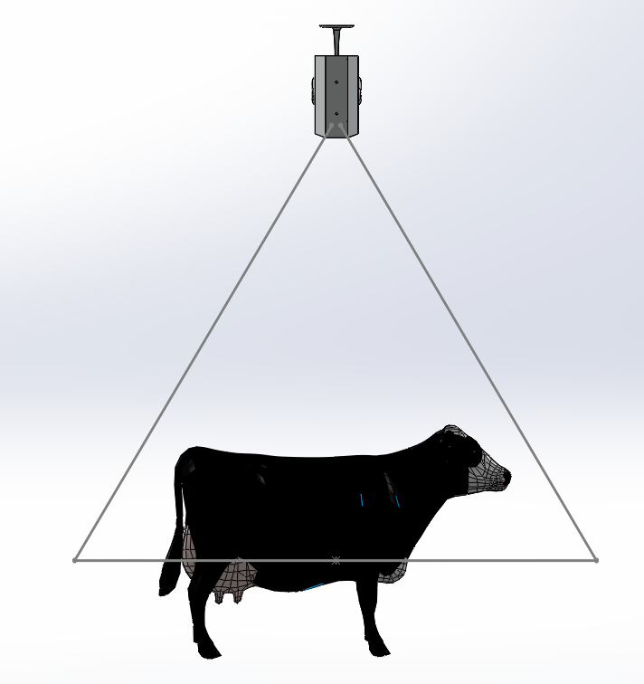 Hayalet Baskül Terazi